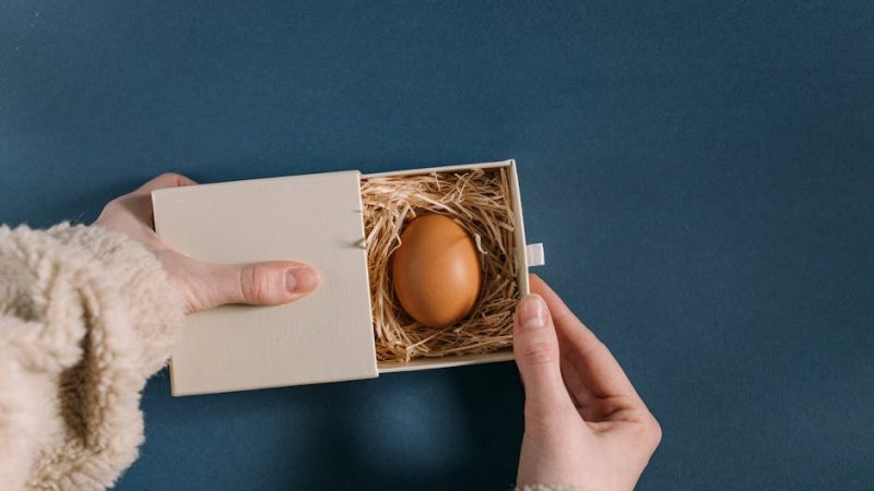 Дети любят какой подарок