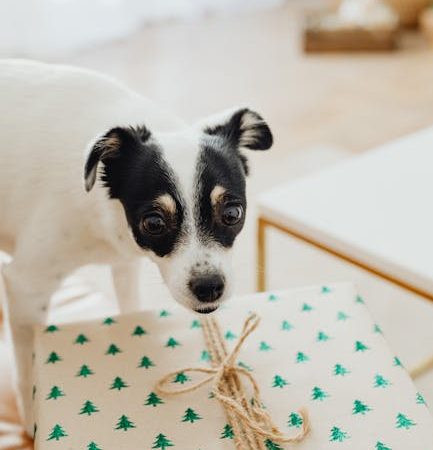 Купить подарок на рождение дочки