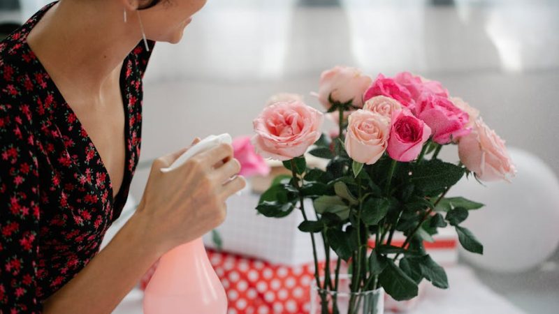 Забытые подарки