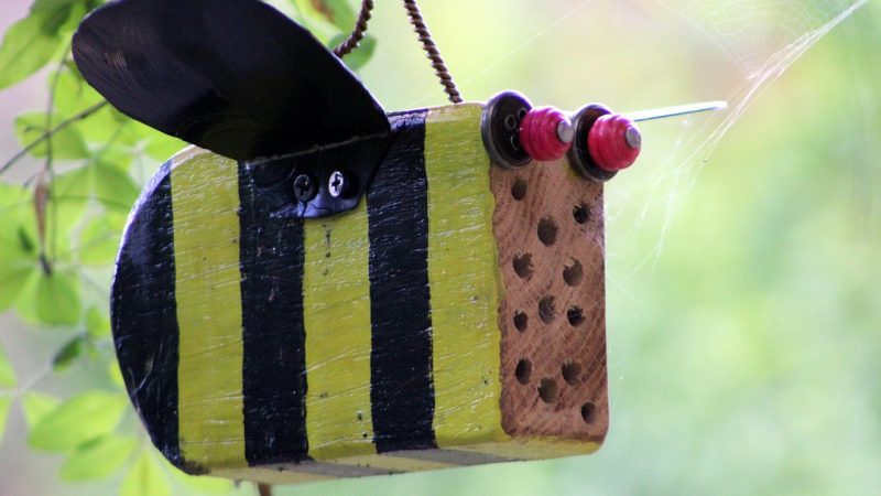 Какие подарить подарки взрослым