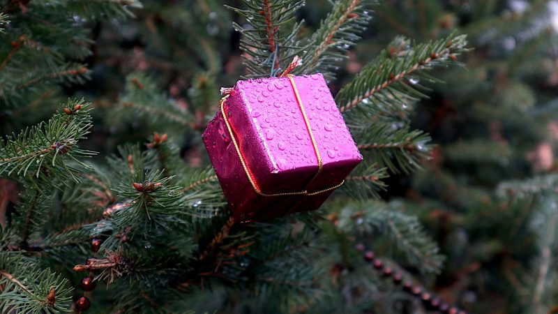 Какой подарок подарить девушке на день