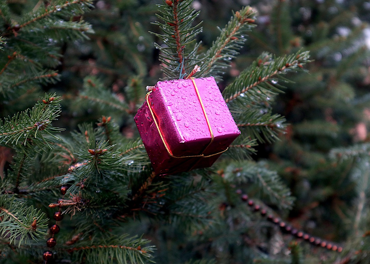 Какой подарок подарить девушке на день