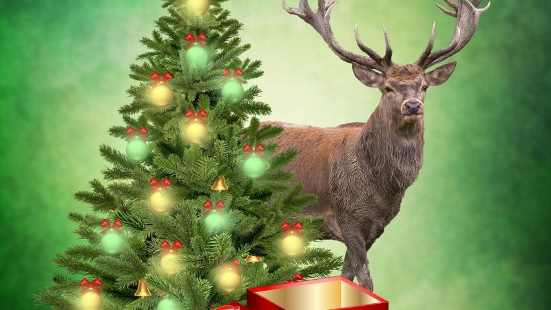 Купить подарок на 5000 рублей